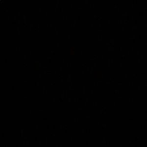 Meet your Posher, Brandi